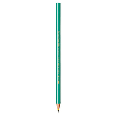 LAPIS PRETO BIC EVOLUTION REDONDO VERDE 12 UN na internet