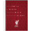 CADERNO 10X1 160F LIVERPOOL - JANDAIA - loja online