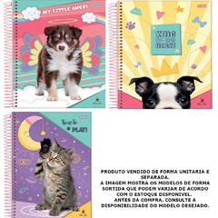 CADERNO 1X1 CD 80FL PET FSC - JANDAIA