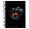 CADERNO 160F 10 MATERIAS HOUSE OF THE DRAGON - JANDAIA - loja online