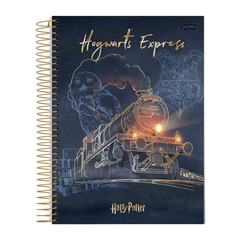 CADERNO HARRY POTTER ESPIRAL 96F 1 MATERIA - JANDAIA - loja online