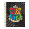 Imagem do CADERNO HARRY POTTER ESPIRAL 96F 1 MATERIA - JANDAIA