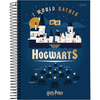 CADERNO ESPIRAL 1/4 96F HARRY POTTER - JANDAIA na internet