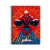 CADERNO ESPIRAL UNIV 10 MATERIAS SPIDER-MAN 160F - TILIBRA na internet