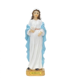 ENFEITE RESINA NOSSA SENHORA GRAVIDA ALJB1585-6 - TASCOINPORT