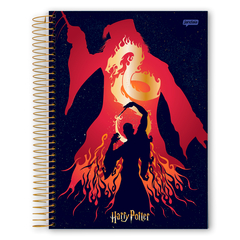 CADERNO ESPIRAL HARRY POTTER 1 MATERIA 96 FOLHAS - JANDAIA - Mei-Mei Papelaria - Sempre Presente com Você