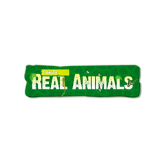 LEAO REAL ANIMALS - BEE TOYS na internet