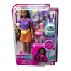 BARBIE FAMILY BROOKLYN CONJUNTO DE VIAGEM - MATTEL