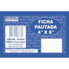 FICHA PAUTADA 4X6 100 FOLHAS 152MM X 102MM - SAO DOMINGOS