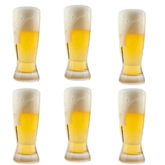 JOGO DE 6 COPOS PARA CERVEJA 210ml BIERHAUS - FULL FIT