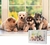 PUZZLE 1000 P PERRITOS (100-135) (4891505811354) 01 (100-135)