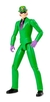 THE RIDDLER ACERTIJO ARTICULADO 30 CM (67800RIDDLER) - comprar online