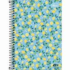 CADERNO ESPIRAL CAPA DURA 1/4 D+ 96 FOLHAS - MAGIC PLACE PAPELARIA