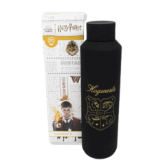 GARRAFA ACQUA HOGWARTS 600ML – HARRY POTTER na internet