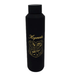 GARRAFA ACQUA HOGWARTS 600ML – HARRY POTTER - comprar online