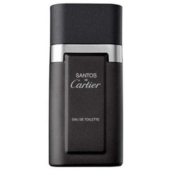 Cartier - Santos de Cartier Cartier