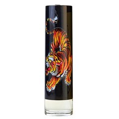 Christian Audigier - Ed Hardy Men's EDT Christian Audigier