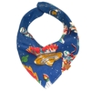 Bandana Universo