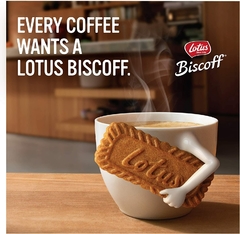 10 Biscoito Bolacha Belga - Lotus Biscoff 250g na internet