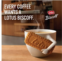 Biscoito Bolacha Belga Lotus Biscoff Caixa 12 Pacotes 124g na internet