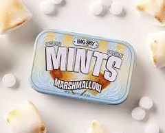 Pastilhas Balas Mints Marshmallow Canela Big Sky Lata 50g - comprar online