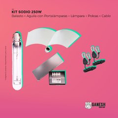 Kit Sodio 250w Iluminación