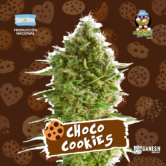 ChocoCookies AUTO El Riqui