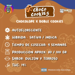 ChocoCookies AUTO El Riqui - comprar online