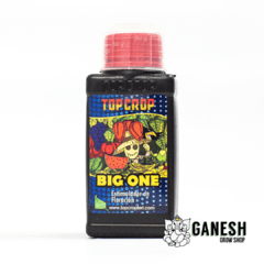 Big One Top Crop 100ml