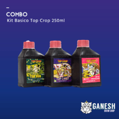 KIT Top Crop Básico 250ml