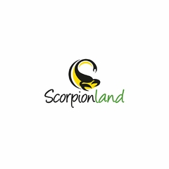 PANTALÓN SCORPIONLAND CD - tienda online