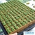 Espuma para Hidroponia Grower 2,0 x 2,0 x 2,0 cm - Furo 9mm