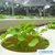 Espuma para Hidroponia Grower 2,0 x 2,0 x 2,0 cm - Sem Furo - comprar online