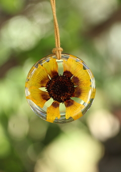 Colar flor de Caliopsis (3,5 cm)