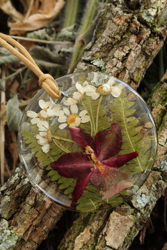 Maxi Colar Orquídea, camomila e samambaia (6,5 cm) - modelo 2