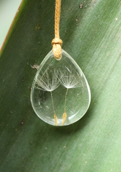 Colar Dente de Leão Transparente duplo_Gota - comprar online