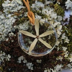 Colar Estrela do Cerrado (Astronium) - Joias Botânicas - Plantas transformadas em colares e brincos - Amana Ateliê