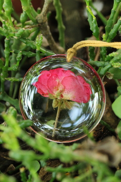 Colar Mini Rosa (3,5 cm) - comprar online