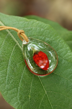 Colar Mini Pimenta - Joias Botânicas - Plantas transformadas em colares e brincos - Amana Ateliê