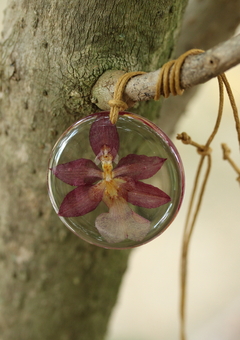 Colar Orquídea Oncidium Rosada - 3,5 cm