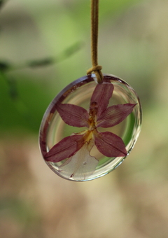Colar Orquídea Oncidium Rosada - 3,5 cm - comprar online