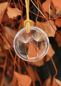 Colar Dente de Leão Transparente (2,5 cm)