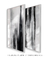 Composição com 2 Quadros Decorativos - Black & White Strokes 01 + 02 na internet