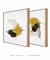 Composição com 2 Quadros Decorativos - Desert 03 + 02 - Quadrado - loja online