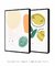 Composição com 2 Quadros Decorativos - Ely + Lemon - loja online