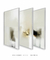 Composição com 3 Quadros Decorativos - Multiple choices No. 02 + 03 + 04 - loja online