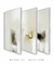 Imagem do Composição com 3 Quadros Decorativos - Multiple choices No. 02 + 03 + 04