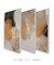 Composição com 3 Quadros Decorativos - The Orange 01 + 02 + 03 - comprar online