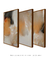 Composição com 3 Quadros Decorativos - The Orange 01 + 02 + 03 - comprar online