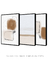 Composição com 3 Quadros Decorativos - Tonight + Window + Tonight 02